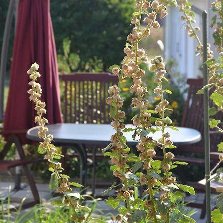 Feriendomizil-Usetom Villa Uckeritz Kültér fotó